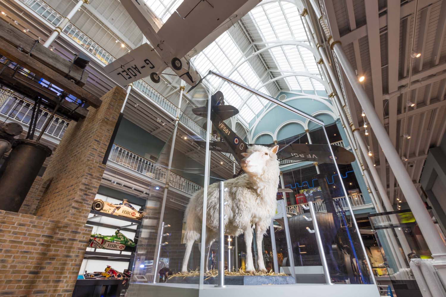 Dolly the sheep in a glass case surrounded by vehicle displays in the Science and Technology galleries. 